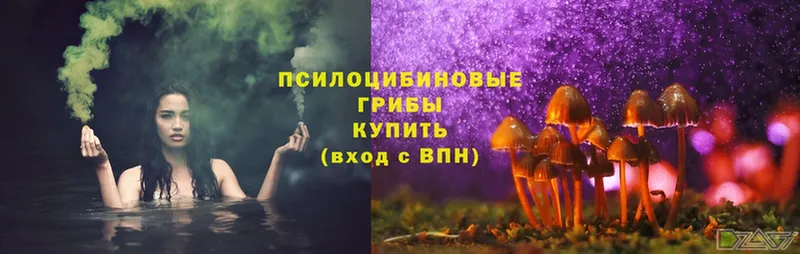 Галлюциногенные грибы Magic Shrooms  Покачи 